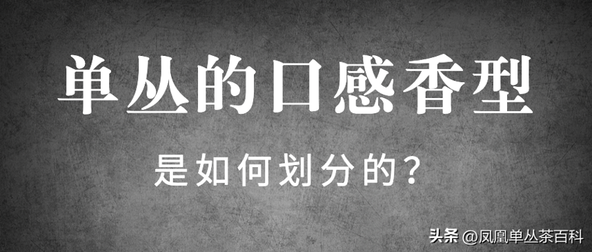 凤凰单丛茶的口感香型，是怎么划分的？