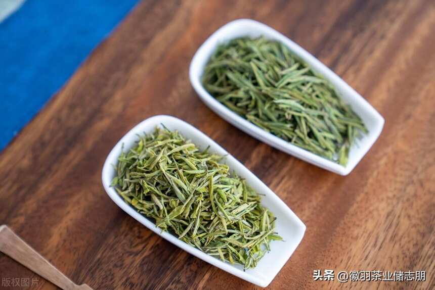 安徽版的安吉白茶，你知道是什么茶吗？