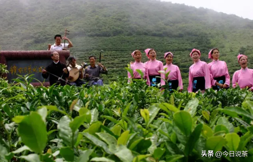 茶名录一回--动物茶语