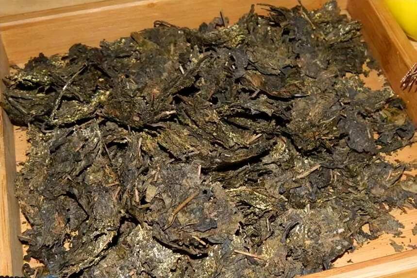 黑茶紧压茶百科 -- 黑茶紧压茶有哪些形态 种类 工艺 产区 特点