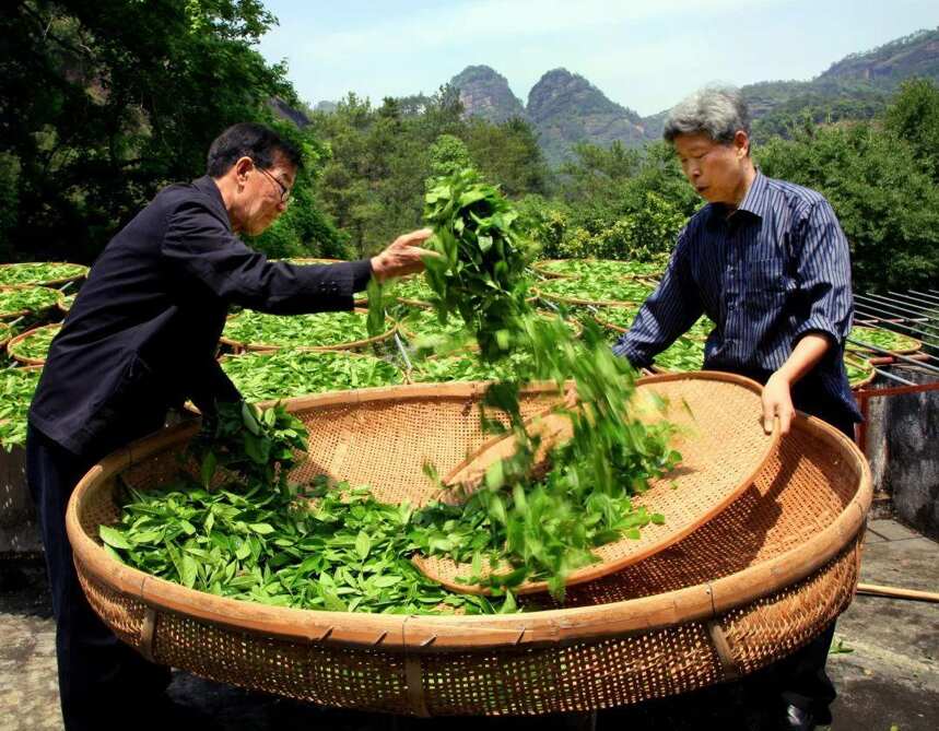 人类非遗 | 武夷岩茶（大红袍）制作技艺