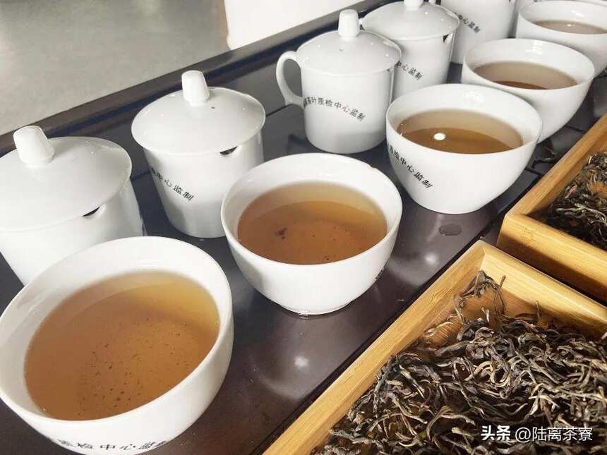 邹炳良与海湾茶厂：暮年茶人，壮心不已