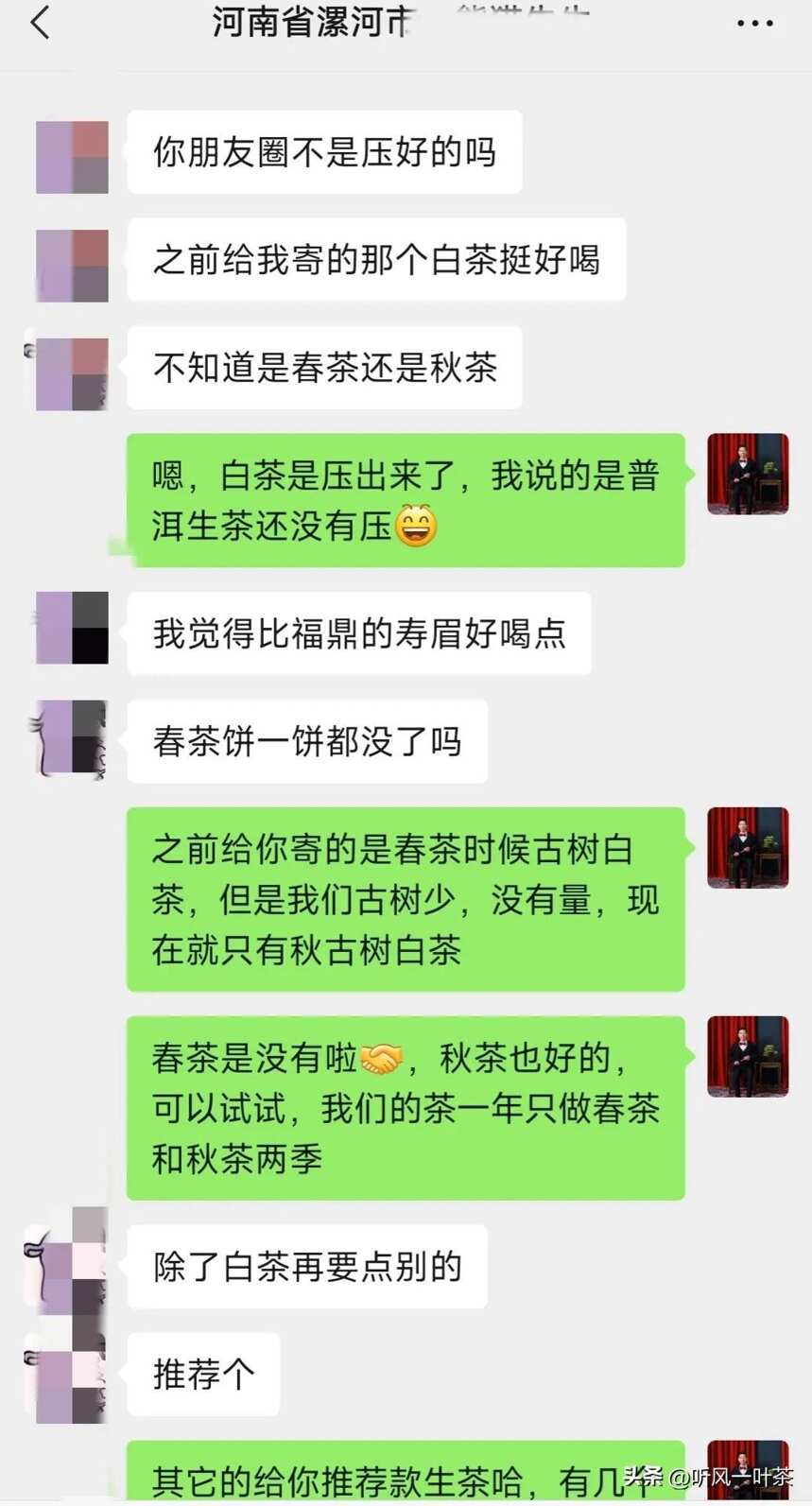 茶友说我们的古树白茶比福鼎寿眉好喝？回家做茶，我一直在努力