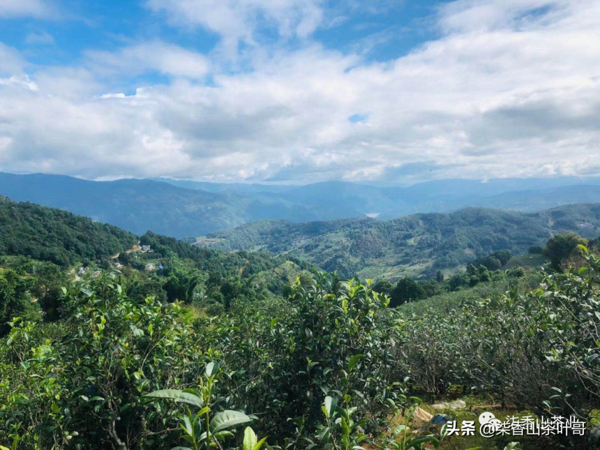 年春茶计划茶友们可根据需求选择，以下是做的种类和规格山头