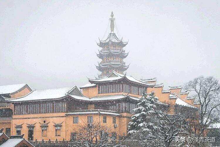 大雪 ▏饮茶补一冬，来年无病痛