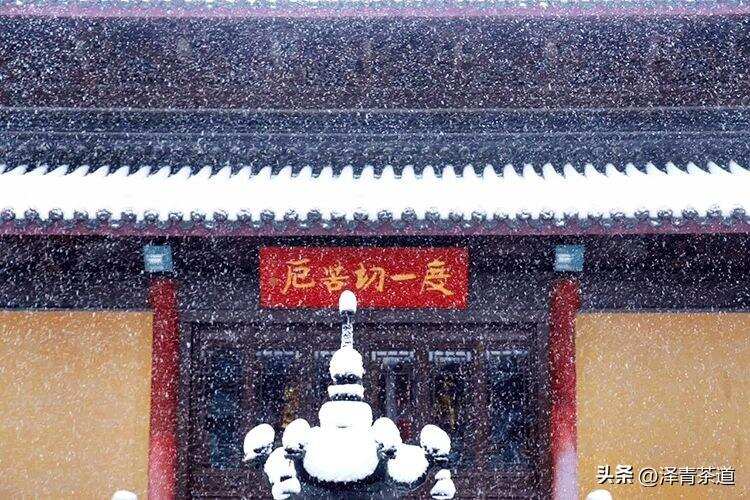 大雪 ▏饮茶补一冬，来年无病痛