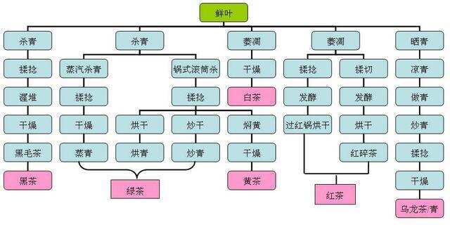 「学茶」零基础从这4个阶段开始