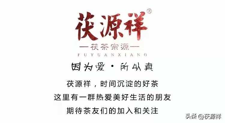 人生苦短，相遇不易，我们不妨多约茶