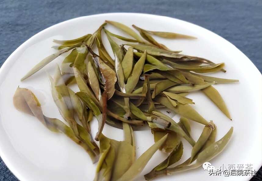 白茶是否该压饼？饼茶和散茶老白茶有何区别 | 一夕谈