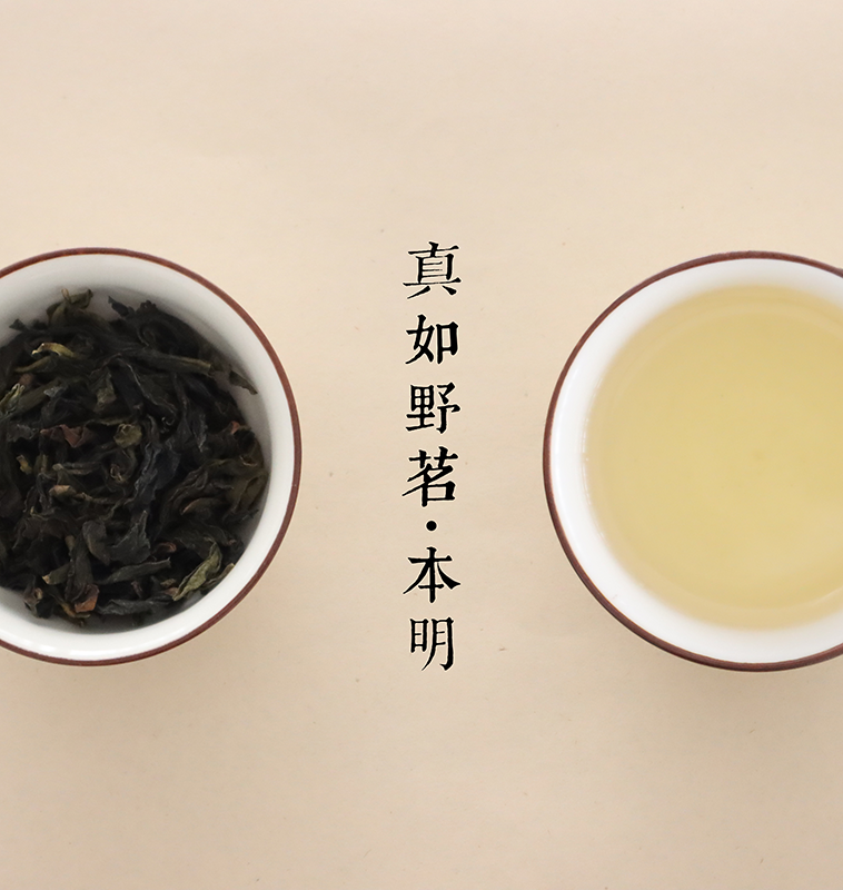 真如野茗.本明茶