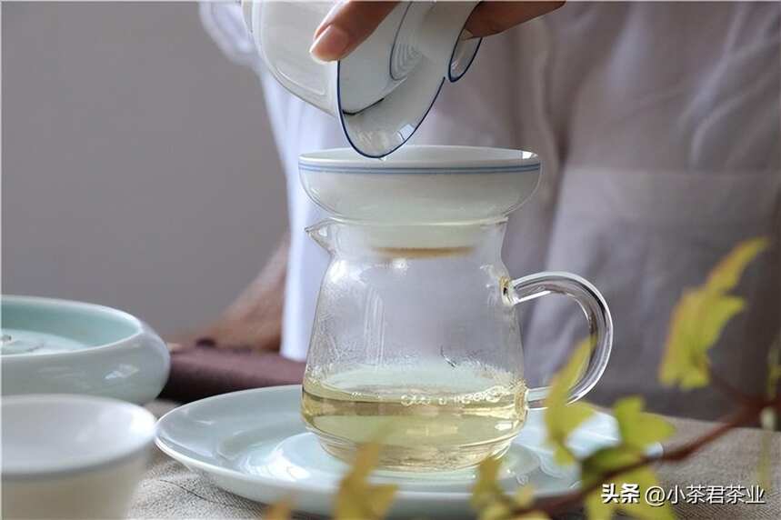 一泡茶总要倒掉原因