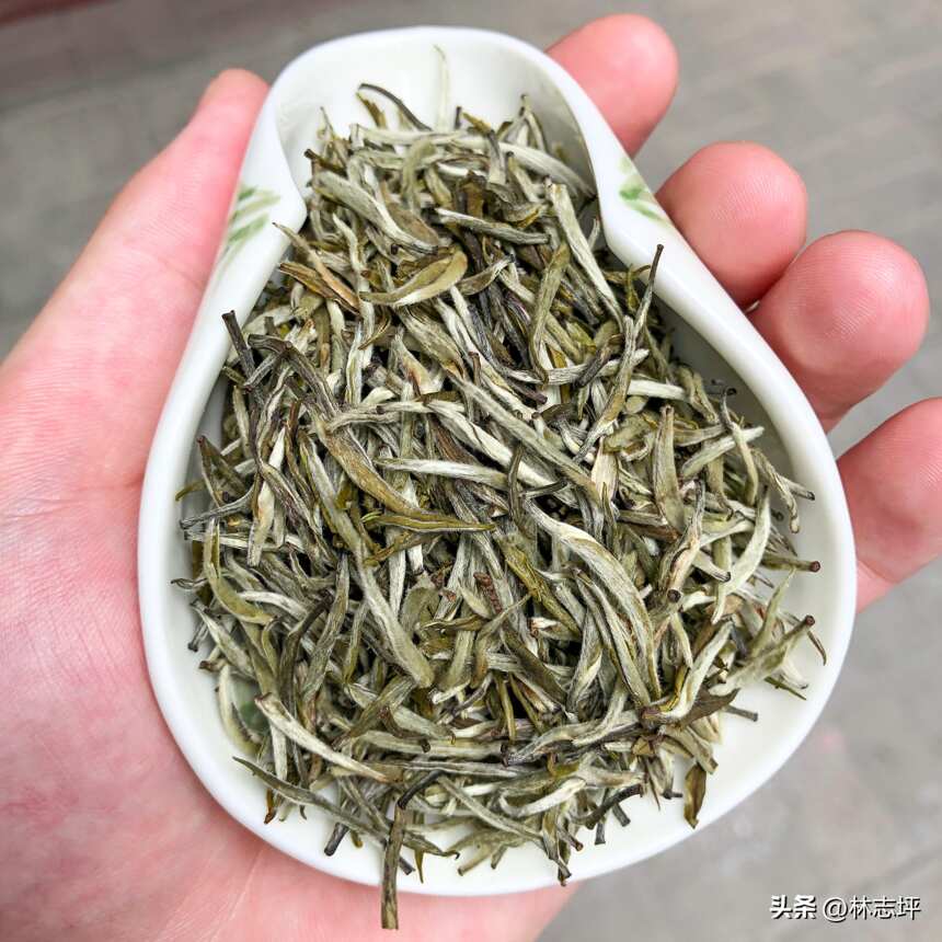 聊一聊什么季节的茉莉花茶最香