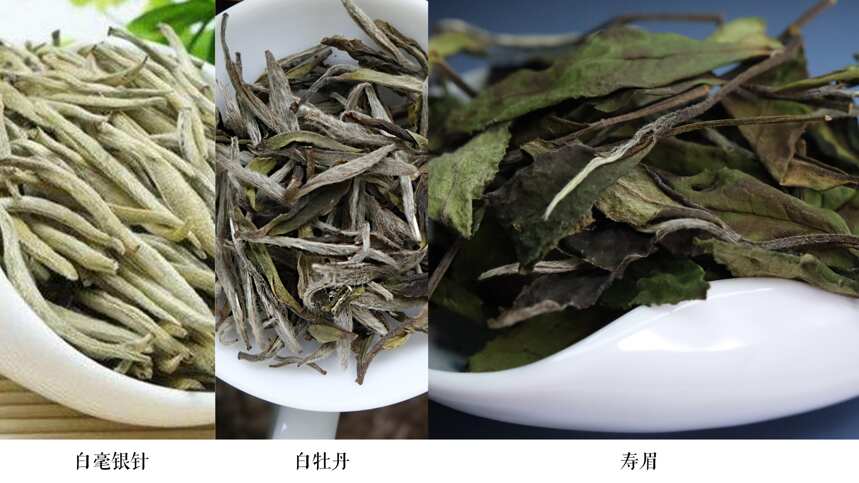 你还在凭嫩度判断茶的品质好坏？大错特错！茶不是越嫩越好