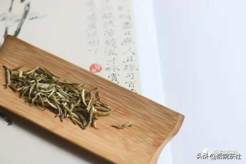 关于茉莉花茶超全面的个问题！喝懂“天香”茉莉花茶 | 后院说茶