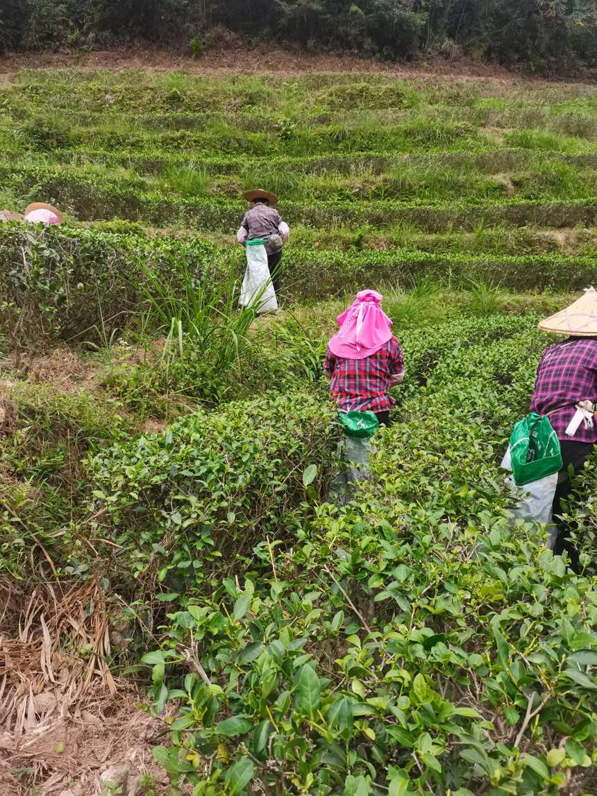 回归自然，走进自然农法家庭农场