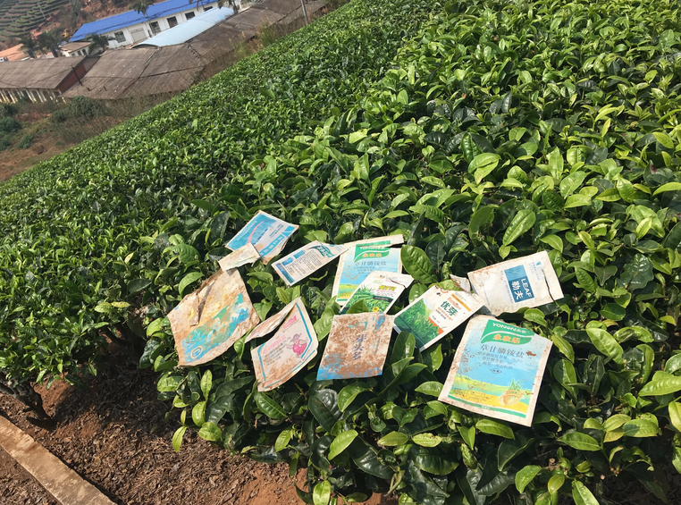 你其实压根就没喝懂茶！100元以下的普洱茶，请别问山头和树龄