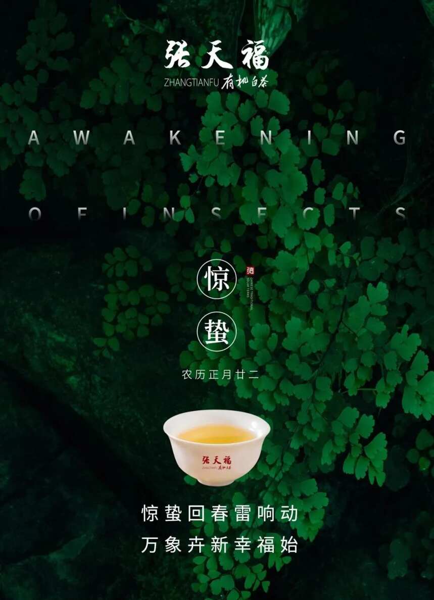 惊蛰丨万物长 惊蛰过 茶脱壳