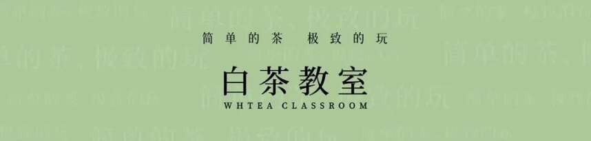 自信点！“我就不是福鼎白茶！”