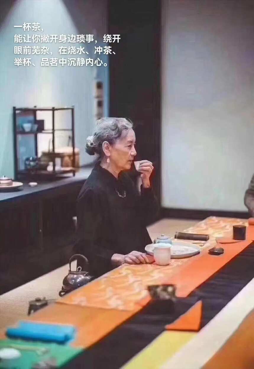 习茶 品茶 与茶同行