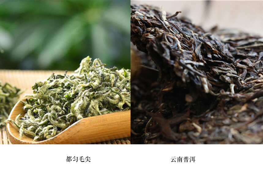 搞懂四大茶叶产区，也就基本搞懂我国有哪些产茶大省和名茶了