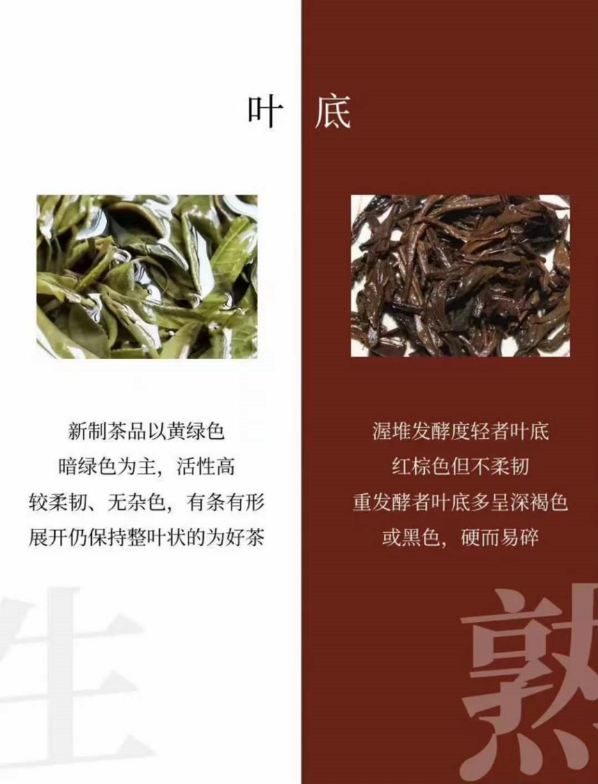 普洱生茶与普洱熟茶的区别