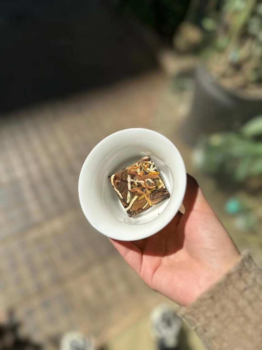 品一杯普洱茶 静一静浮躁的心