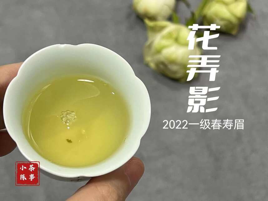 白茶真的有巧克力味吗？看完白茶大基本香型的真相，你就明白了