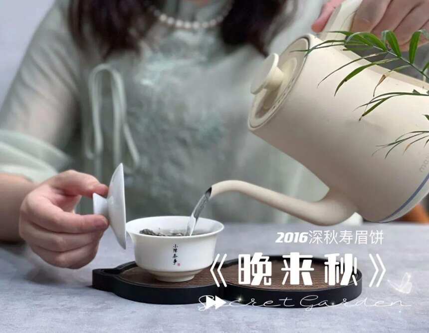 白茶真的有巧克力味吗？看完白茶大基本香型的真相，你就明白了