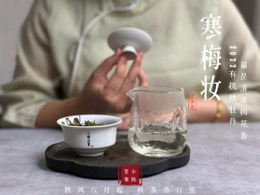 上千元的紫砂壶，泡白茶没有几十块的盖碗实用，它怎么了？