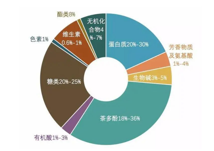 茶丨养成良好的生活习惯，健康饮茶，让身体远离亚健康