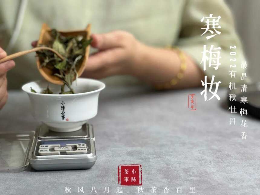 上千元的紫砂壶，泡白茶没有几十块的盖碗实用，它怎么了？