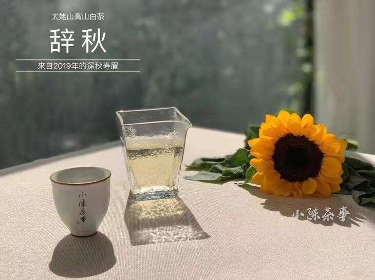 老茶客都习惯做的洗茶，居然是伪科学？那醒茶和润茶还有必要吗？