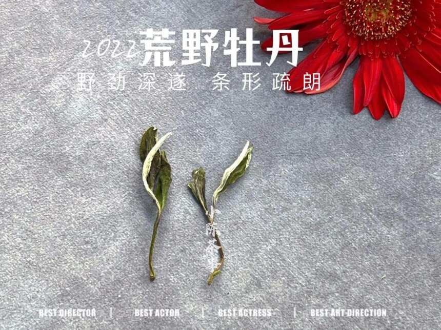 白牡丹清凉、白毫银针固本、寿眉花香，那什么样的白茶是冰糖甜？