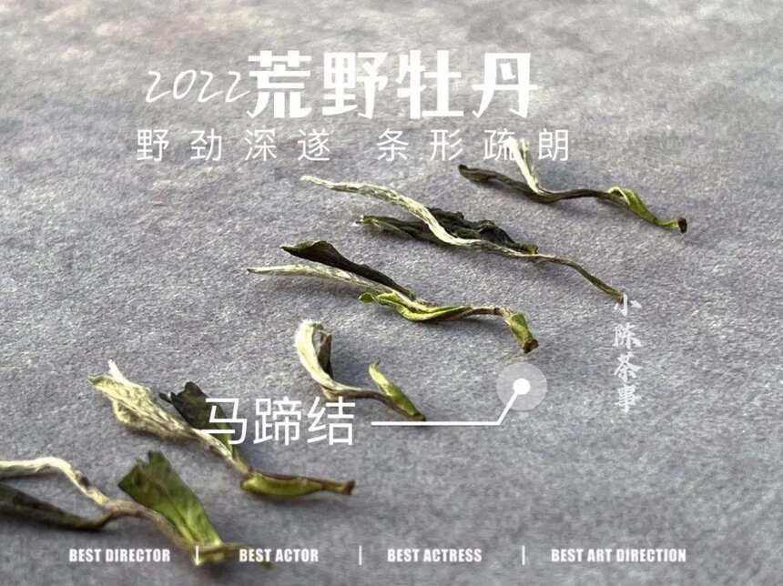 白牡丹清凉、白毫银针固本、寿眉花香，那什么样的白茶是冰糖甜？