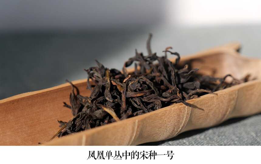 想要上班的时候自在又体面地喝茶？收好这份办公室简易泡茶宝典！