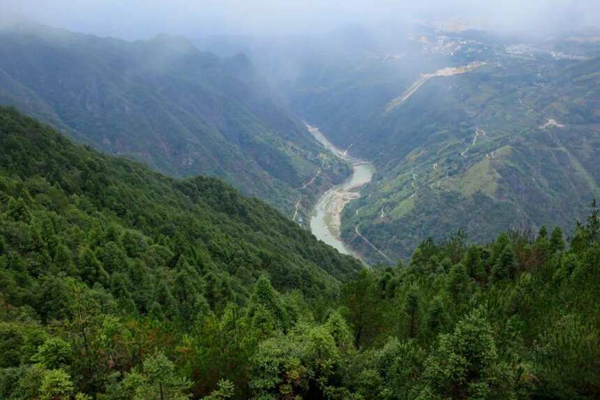 垂直落差米的山场，做出的茶有多大差异度？