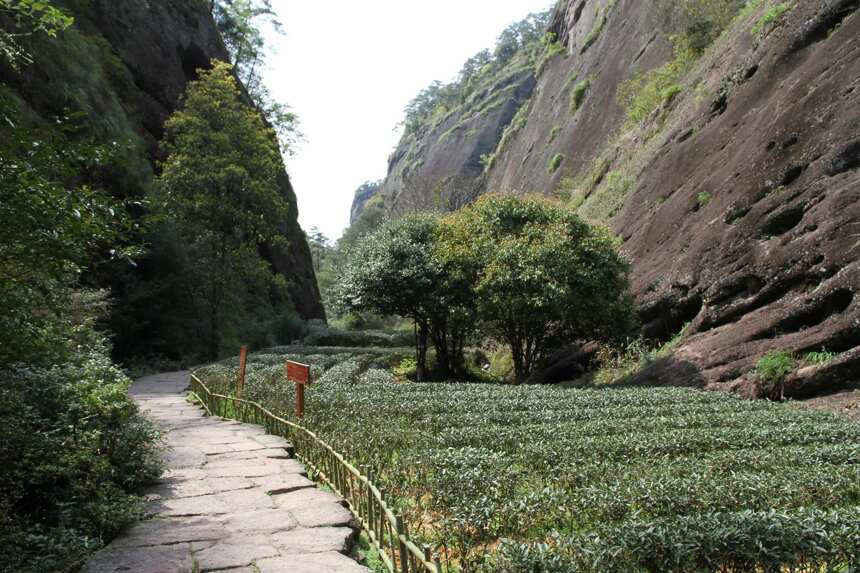 天时：香殊兰茝得天真。地理：色斗琼瑶因地胜。