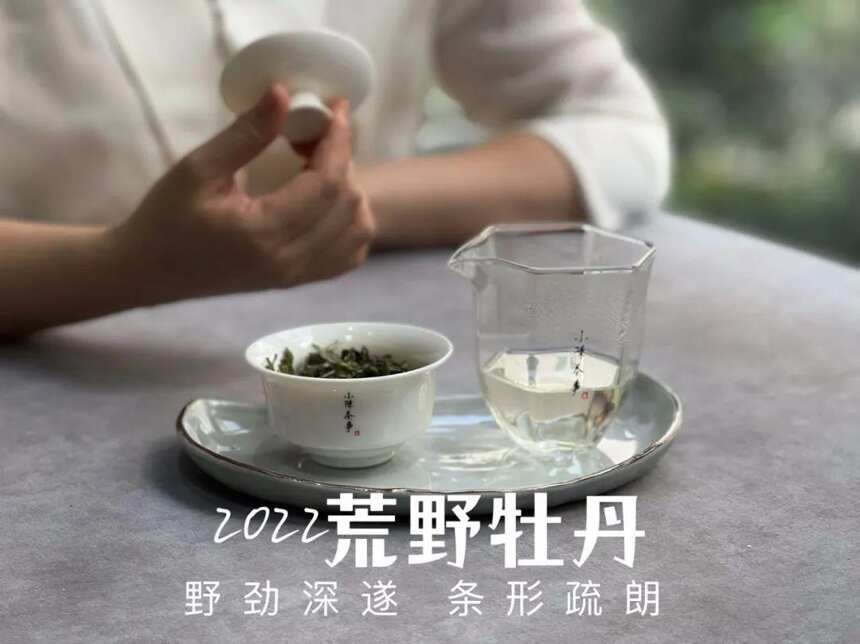 泡白茶时，被很多新手忽略的个误区，难怪总是会把白茶泡苦