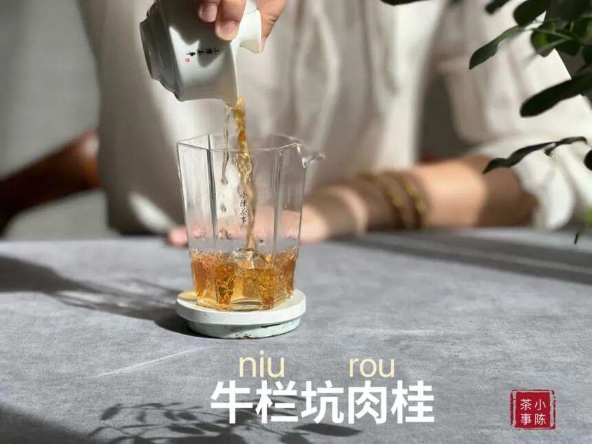 普通茶客可以在家尝试拼配岩茶吗？两款岩茶混着喝，味道如何？