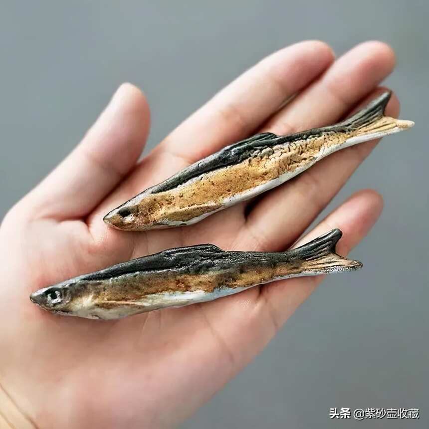 茶宠怎么养，各种茶宠的寓意