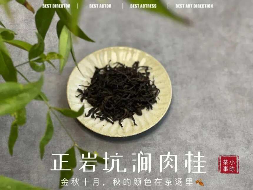 普通茶客可以在家尝试拼配岩茶吗？两款岩茶混着喝，味道如何？