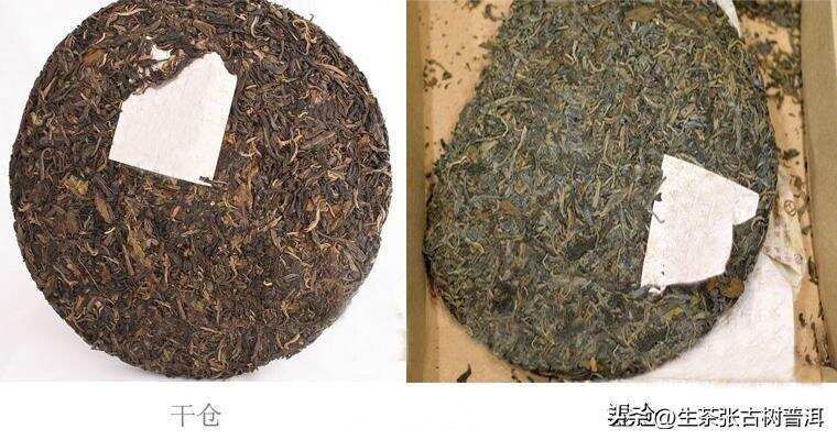 了解普洱茶专业知识大全，普洱茶基本知识文化科普