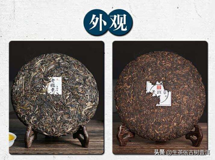 了解普洱茶专业知识大全，普洱茶基本知识文化科普