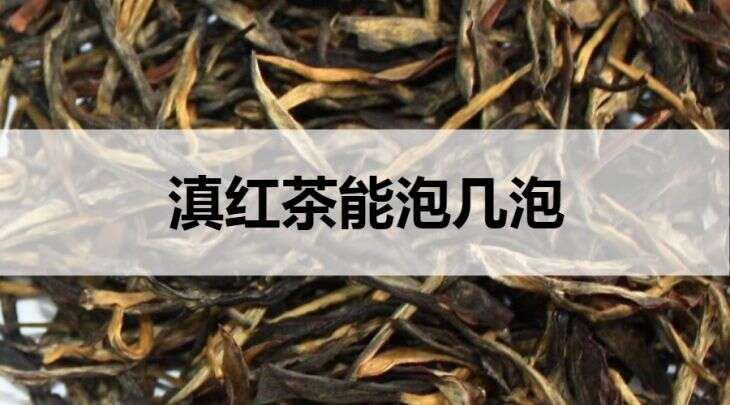 滇红茶能泡几泡？