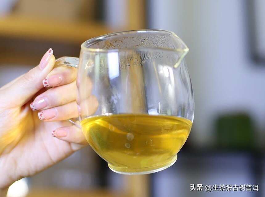 了解普洱茶专业知识大全，普洱茶基本知识文化科普