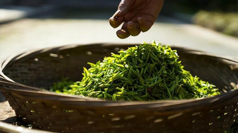 碧螺春属于什么茶红茶还是绿茶，喝碧螺春的功效与作用