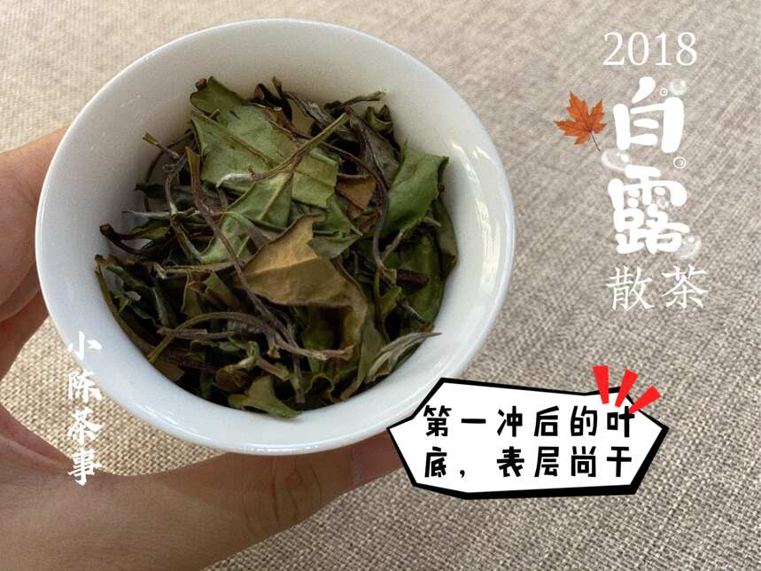 点干货，教你区分老白茶和做旧茶，真的和假的一起实拍展示