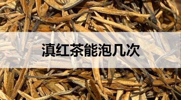 滇红茶能泡几次？