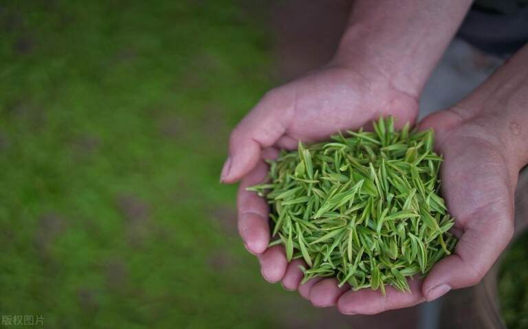 龙井茶属于乌龙茶还是绿茶？西湖龙井是绿茶天花板吗？
