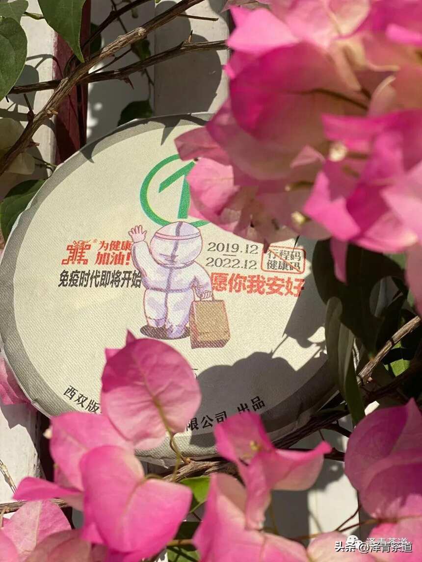 茶之密码：解析茶叶中的健康有益成分